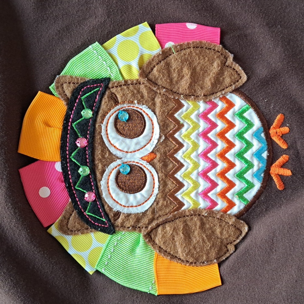 RareToo! Brown Owl Appliqué Chevron Sleeve Tunic Top Fall Thanksgiving Outfit - Picture 5 of 10